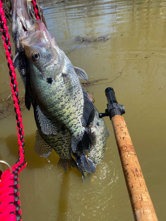 Crash Couse in Wade-Fishing for Giant Crappie! Part 2